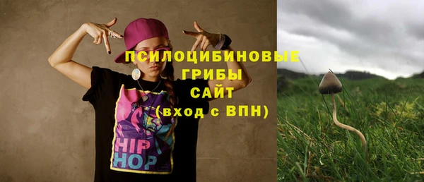 ALPHA-PVP Осташков