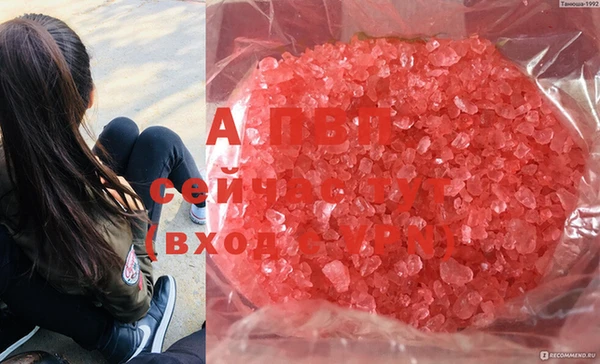ALPHA-PVP Осташков
