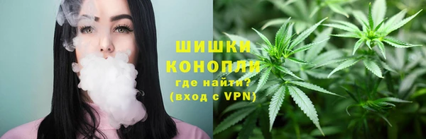 дживик Осинники