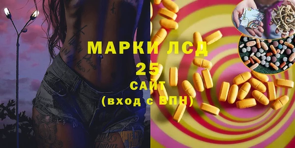 дживик Осинники