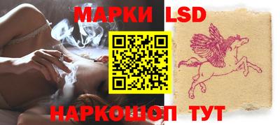 стаф Донецк