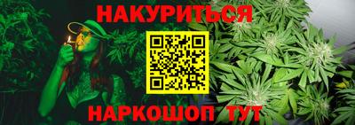 стаф Донецк