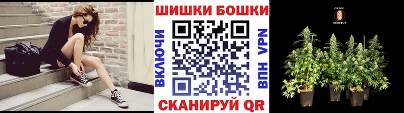 где можно купить наркотик Казань Шишки марихуана индика